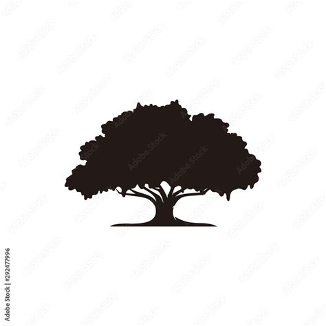 Oak Tree Icon Vector Stock Vector Adobe Stock