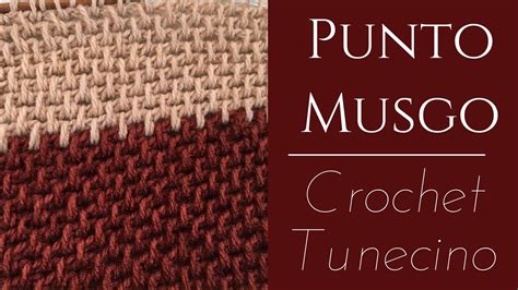 Punto Musgo Crochet Tunecino YouTube