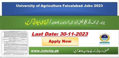 University Of Agriculture Faisalabad Jobs 2023 UAF Jobs JOBSUP PK