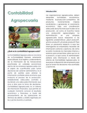 Calaméo Contabilidad Agropecuaria