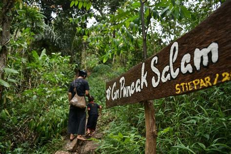 Hutan Larangan Kampung Adat Cireundeu Dan Ancaman Pembangunan