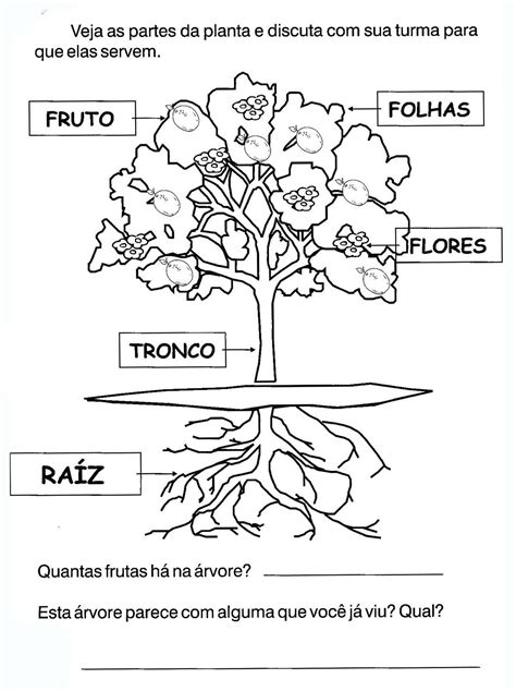 Atividades De CiÊncias 2° Ano Plantas I Atividades E Desenhos