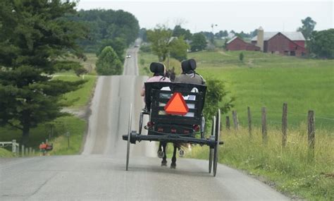 Amish Women For Breeding Telegraph