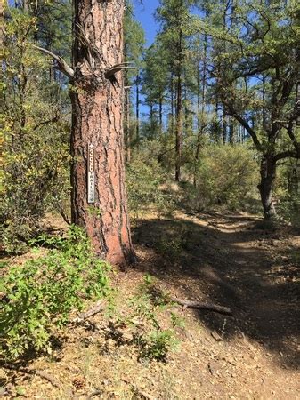 Hike #2 - Goldwater Lake Trail #396 - Carhart and Grone Family Pages