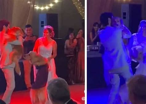 “ternuritas” Perritos Bailan Con Sus Dueños En Su Boda Tn8tv