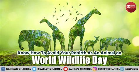 World Wildlife Day 2024 Themehistoryquotesaim Save Wildlife