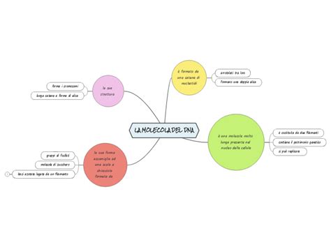 LA MOLECOLA DEL DNA Mind Map