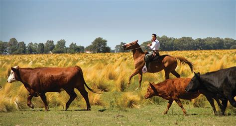 8 Remarkable Things To Do In Argentina Holiday Architects Holiday