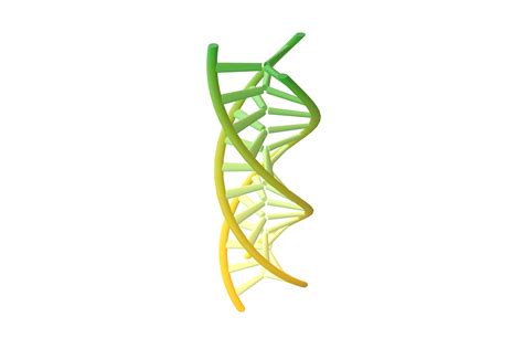 Triple Helix DNA V1 008 3D Model CGTrader