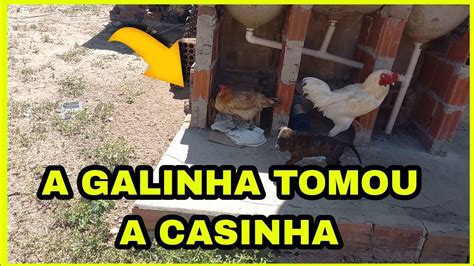 Fazendo O Caf Da Manh Mostrando O Ninho Que Fiz Pras Galinhas Youtube