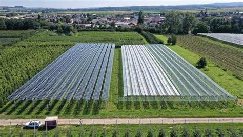 SolarPower Europe Rilascia Nuove Linee Guida Per Lagrivoltaico Pv