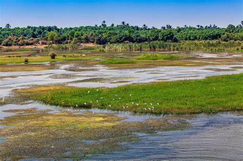 Premium Photo | River nile in egypt life on the river nile