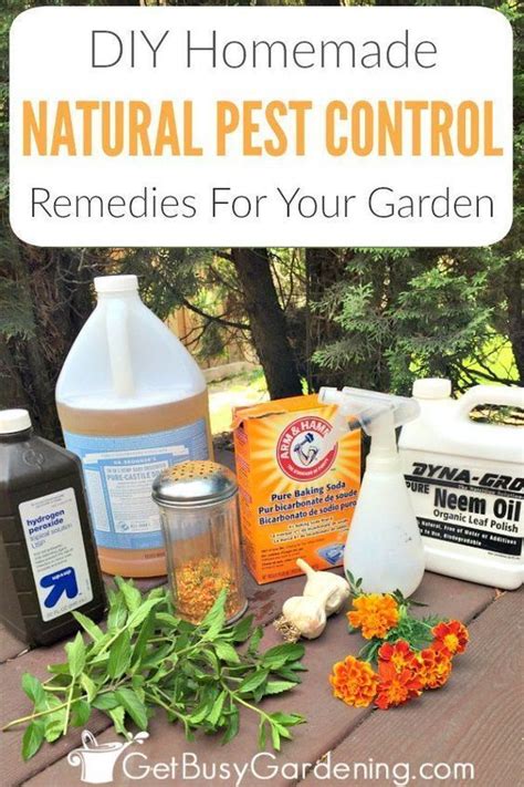 Diy Edge Control Recipe Organic Pest Control Remedies For Your Garden