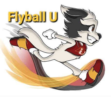 Welcome to our Flyball Courses! – Agility University