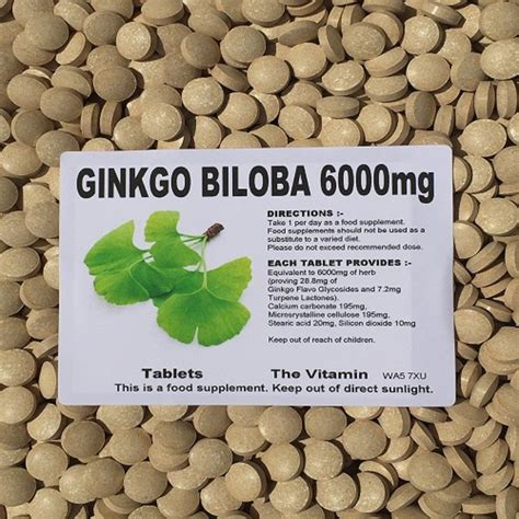 The Vitamin GINKGO BILOBA 6000mg 365 High Strength Tablets FREE P P