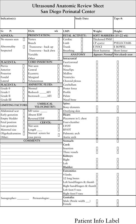 Free Printable Ultrasound Worksheets