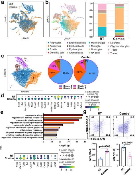 B Lnp Mediated Targeted Delivery Of Diabzi Remodels Transcriptomic And