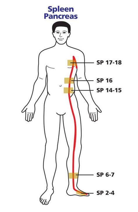 Spleen Pancreas Meridian Chart By Wellbrocks 2017 Copyright Pam