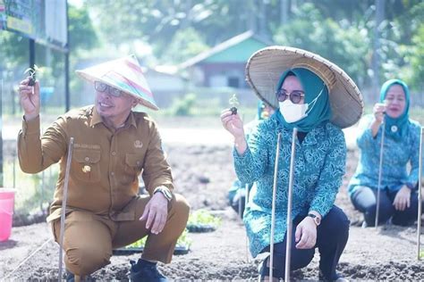 Peringati Hari Kesatuan Gerak Pkk Ke Pj Bupati Bolmut Bersama Tp