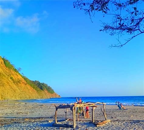 Barrigona Beach Playa Samara Alles Wat U Moet Weten Voordat Je Gaat