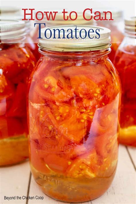 Canning Tomatoes For Beginners Recipe Canning Recipes How To Can Tomatoes Canning Tomatoes