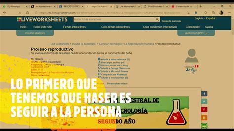 Ver Respuestas De Liveworksheets