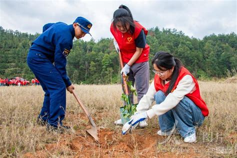 人民网图片信息刊发江西定南：义务植树添新绿 定南县人民政府