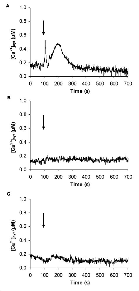 Induction Of A Transient Cytosolic Ca Change By The Sulphonated