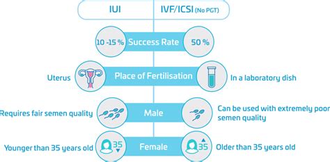 In Vitro Fertilization Ivf And Intracytoplasmic Sperm Injection Icsi