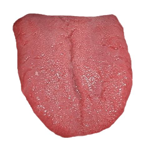 Tongue PNG Transparent Images