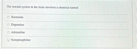 Solved The reward system in the brain involves a chemical | Chegg.com