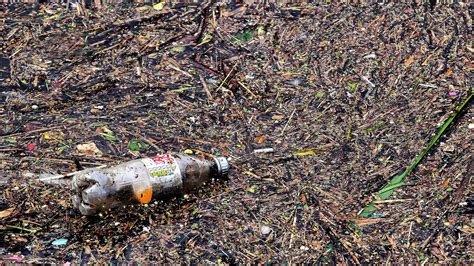 Onu Gran Parte De La Naturaleza Ya Está Perdida Y Lo Que Queda