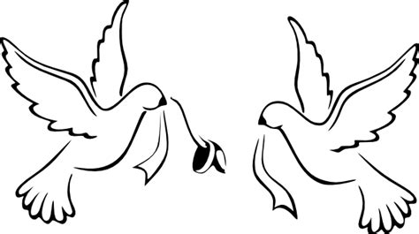 Dove Png Transparent Dovepng Images Pluspng