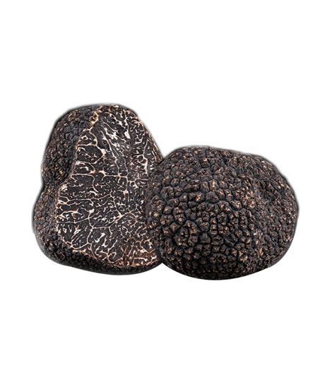 N M Truffle Ng L Nh Plantin Quick Frozen Black Truffle Whole