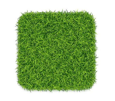 About Us Greenfields Turf Farm And Bullsbrook Turf Supplies