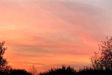 Colorful Pink And Orange Sunset Sky Background Stock Image Image Of