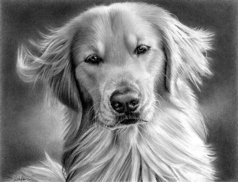 40 Realistic Animal Pencil Drawings