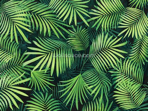 Leaves of Palm Tree Wallpaper | Wallsauce UK