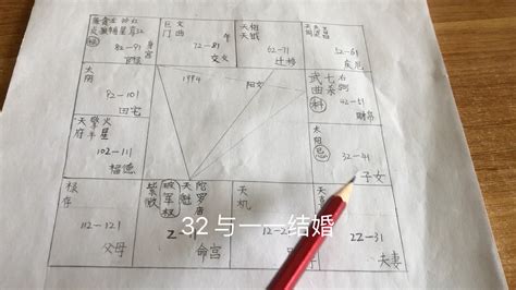 紫微斗数之紫薇破军坐命化权杀破狼太阳星化忌主孤单 哔哩哔哩