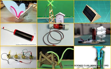 Top 7 Best Biology Projects for Science Fair For Classes 6, 7, 8, 9 And 10