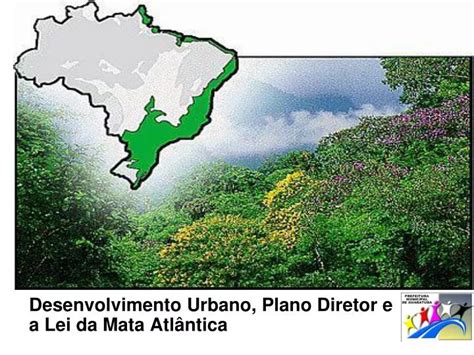 Ppt Desenvolvimento Urbano Plano Diretor E A Lei Da Mata Atl Ntica