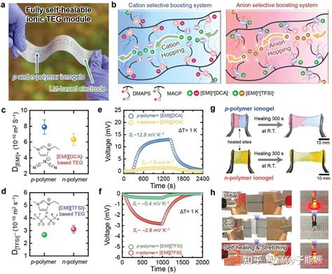 厉害！！aem基于两性离子聚合物凝胶的完全自愈合电极 知乎