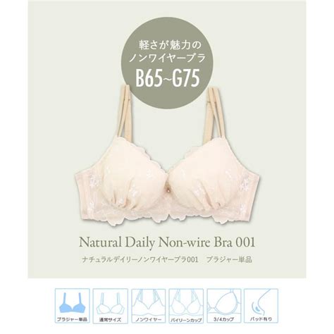 fran de lingerie ノンワイヤー ブラジャー 代 高校生 かわいい セクシー レディース 下着 フランデランジェリー ndn b c ナチ
