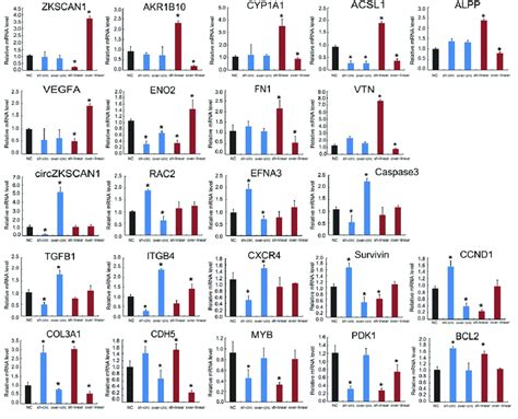 QRT PCR Analysis Of The Expression Of 21 Genes Selected From The