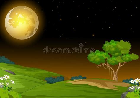 Cool Landscape Grass Field with Moonlight in Night View Cartoon Stock ...