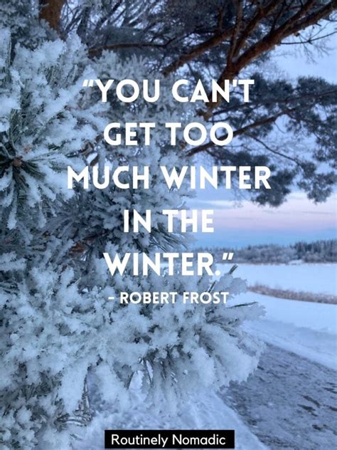 85 Funny Winter Quotes and Sayings for Those Freezing but Hilarious ...