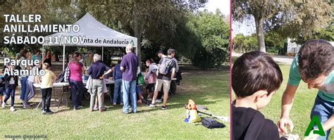 Parque Del Alamillo Anilladores Profesionales Impartir N El S Bado