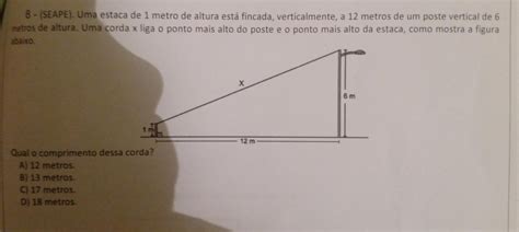 Seape Uma Estaca De Metro De Altura Est Fincada Verticalmente