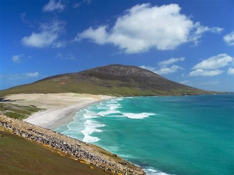 Islas Malvinas historia ubicación clima turismo flora fauna y más