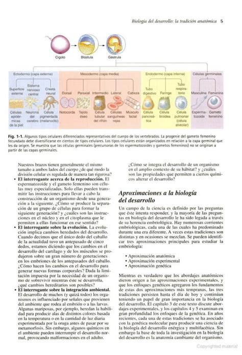 Biolog A Del Desarrollo Gilbert A Edici N Pdf